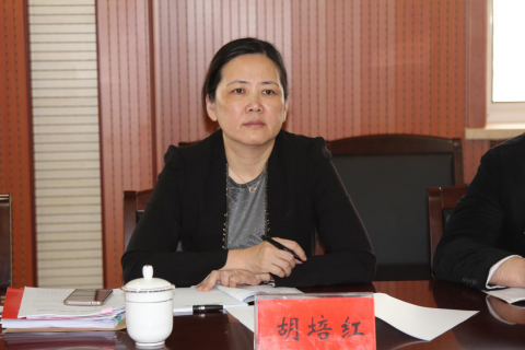 省港口集團紀委胡培紅書記一行來我司調(diào)研